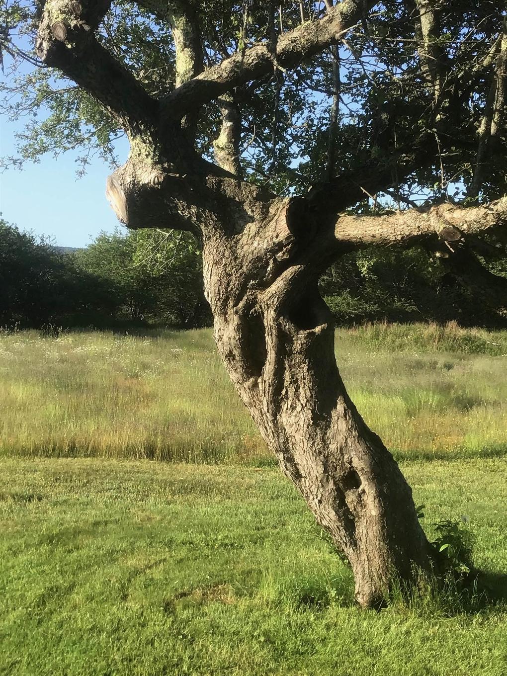 903 Feltzen South Road, Feltzen South, NS