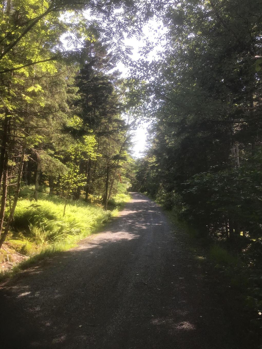 903 Feltzen South Road, Feltzen South, NS