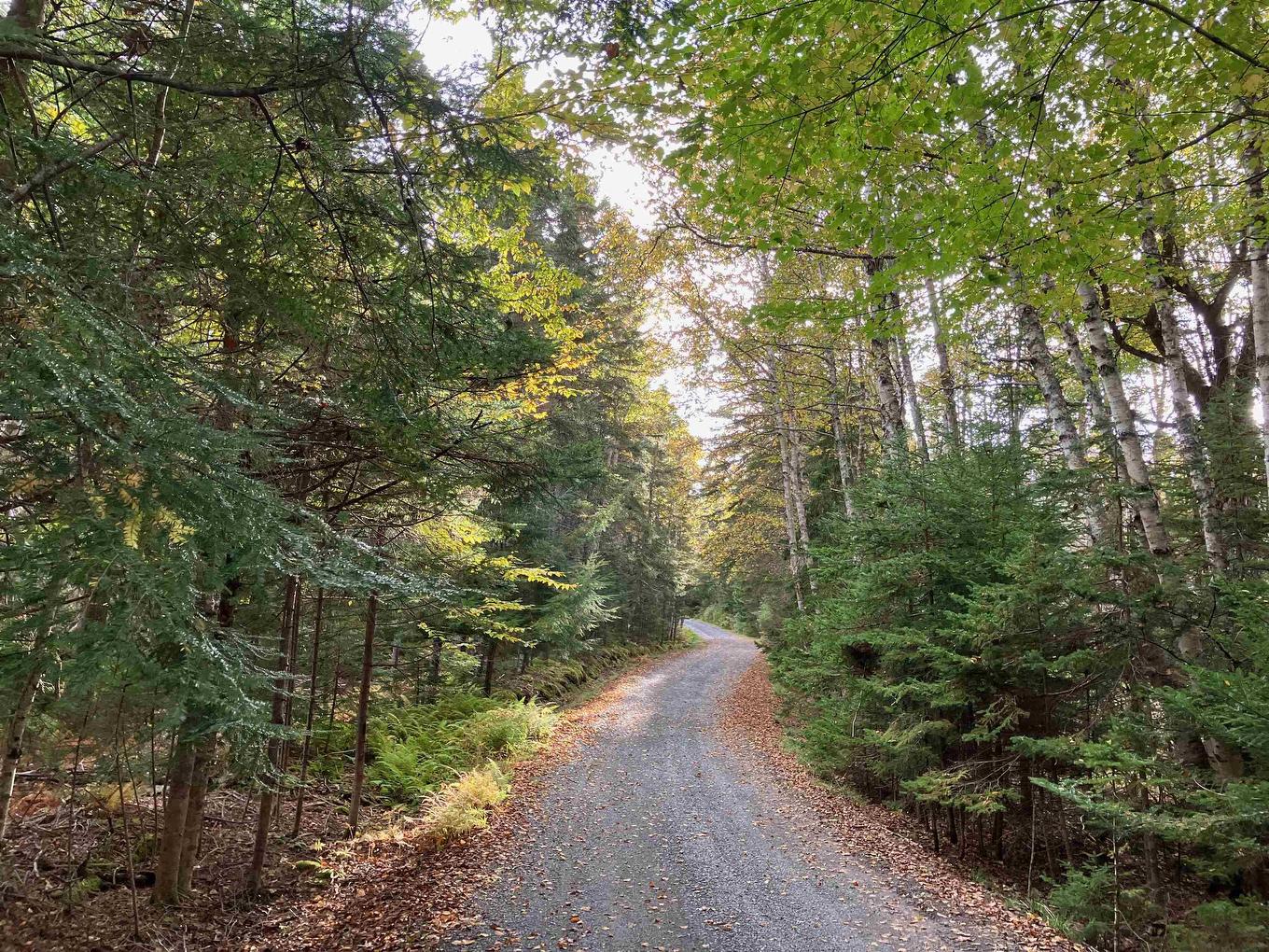 903 Feltzen South Road, Feltzen South, NS