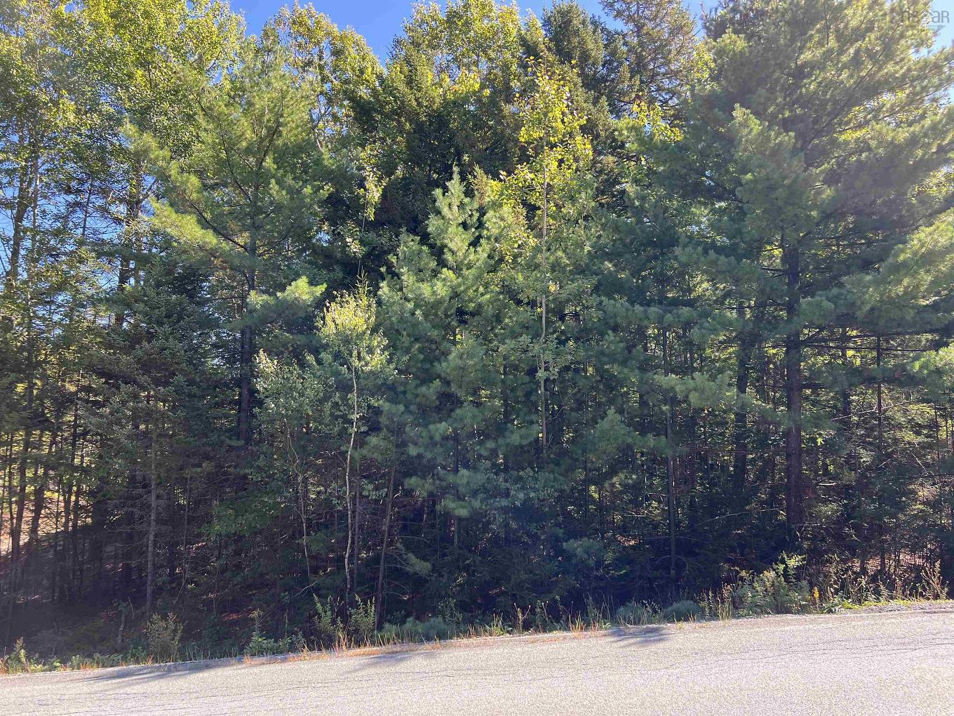 Lot 5 Conquerall Rd, Conquerall Bank, NS