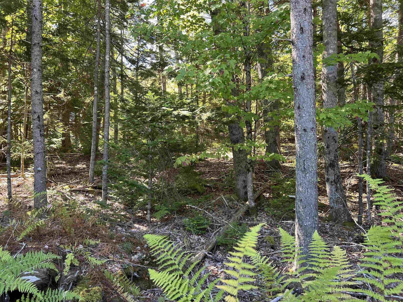 Lot 5 Conquerall Rd, Conquerall Bank, NS