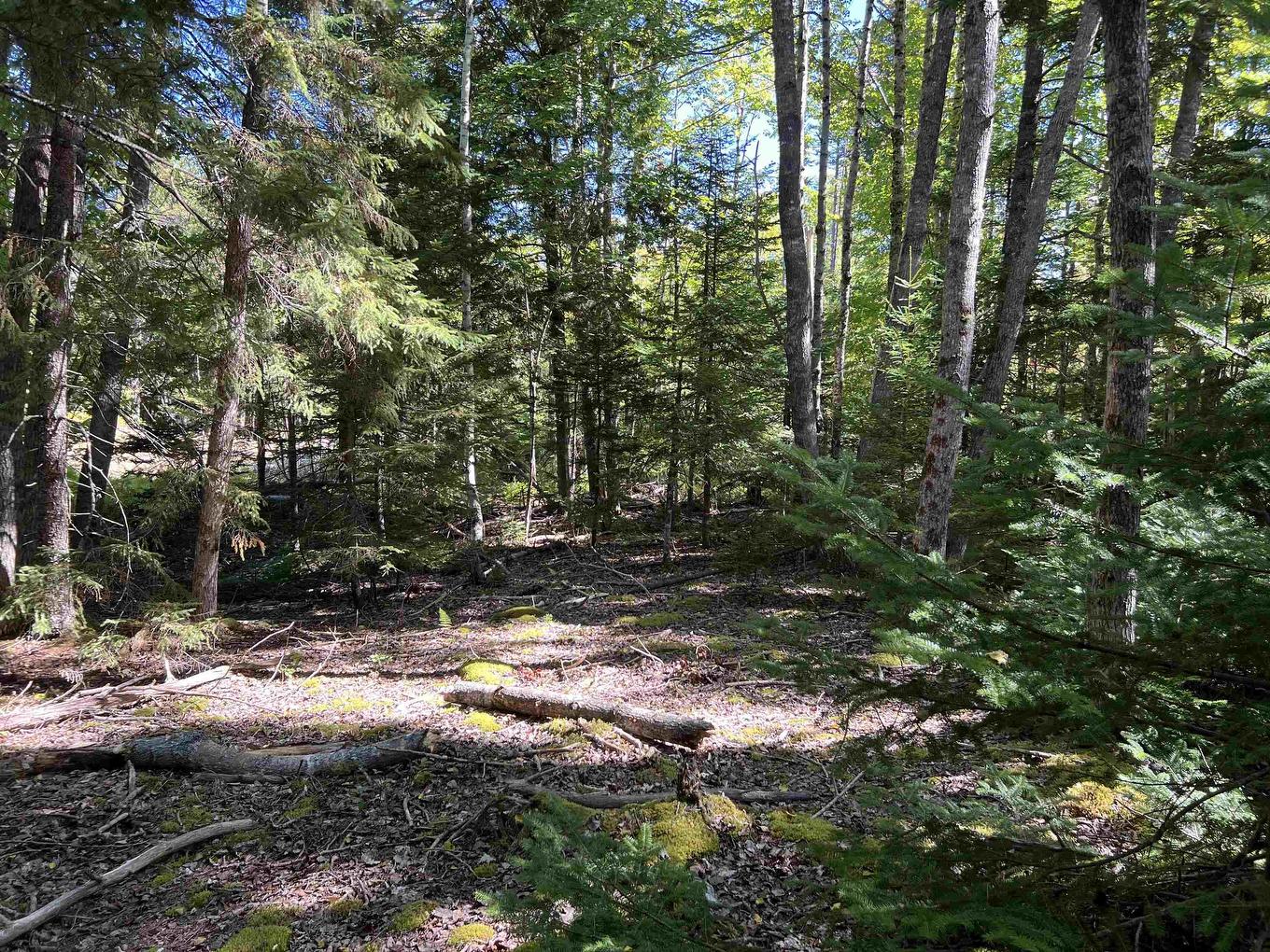 Lot 5 Conquerall Rd, Conquerall Bank, NS