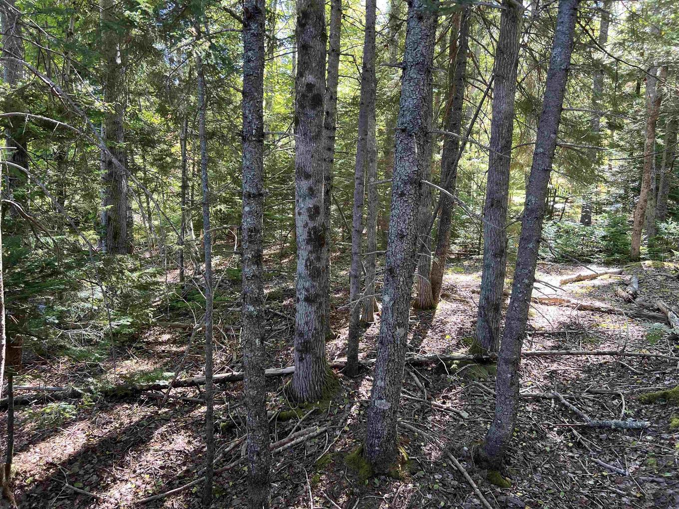 Lot 5 Conquerall Rd, Conquerall Bank, NS