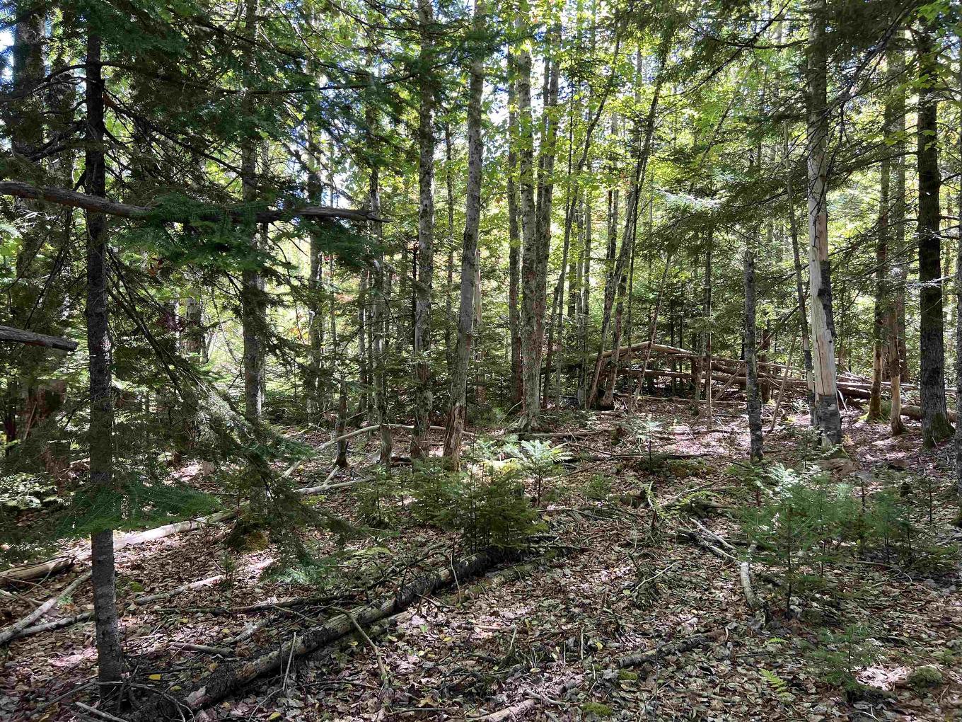 Lot 5 Conquerall Rd, Conquerall Bank, NS