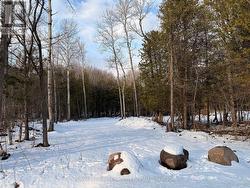 front entrance winter -