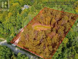 2 acre lot -