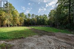 partially cleared building envelope -