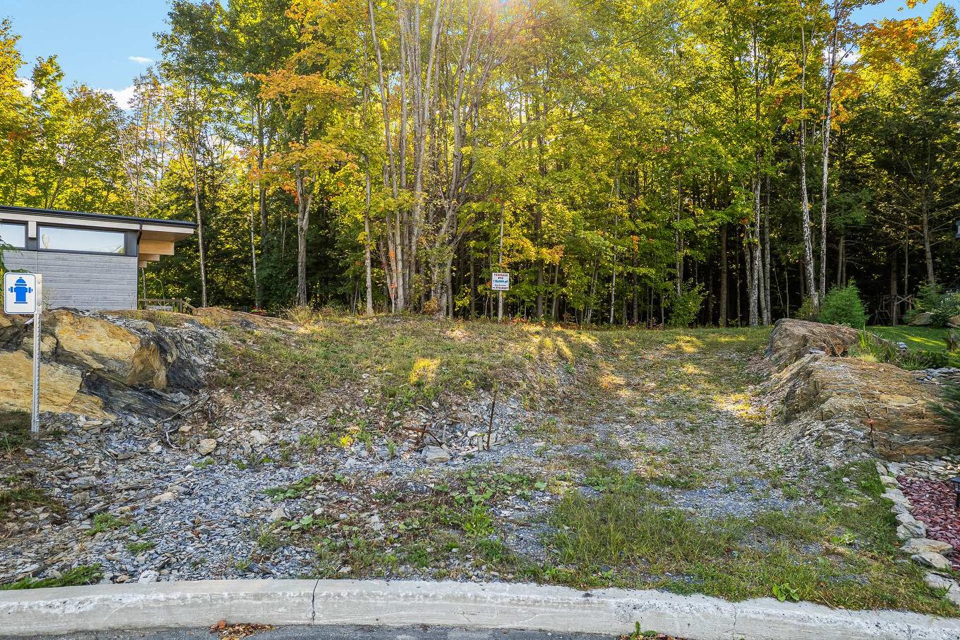 Terre/Terrain - Rue Janine-Sutto, Cowansville, QC