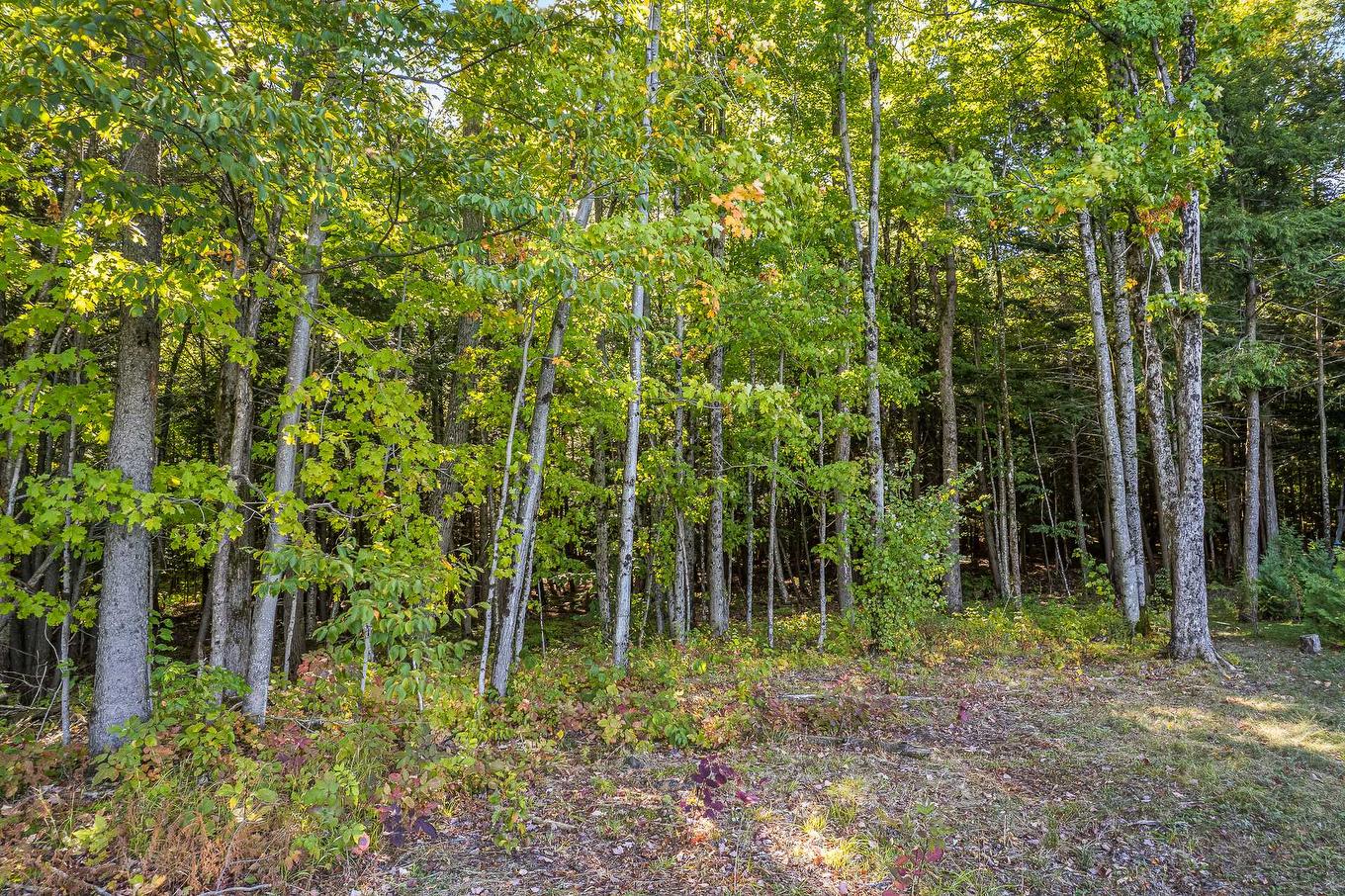 Terre/Terrain - Rue Janine-Sutto, Cowansville, QC