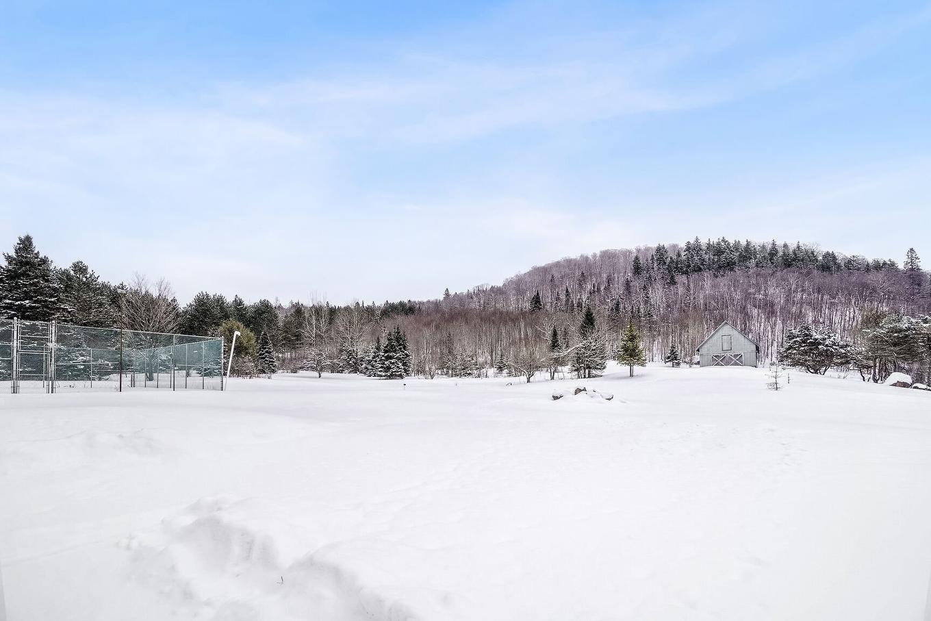 Backyard - 445Z Ch. De La Ferme, Val-Morin, QC - Outdoor With View