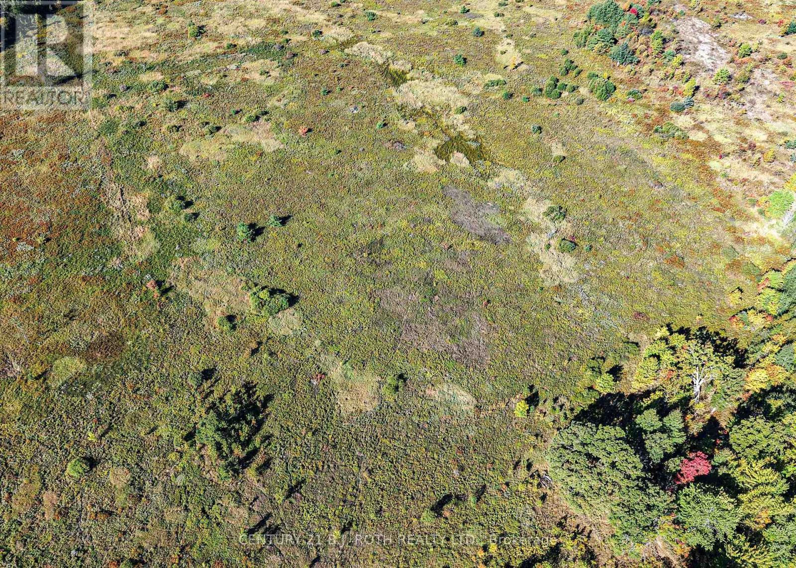 1969 Telford Line, Severn, ON