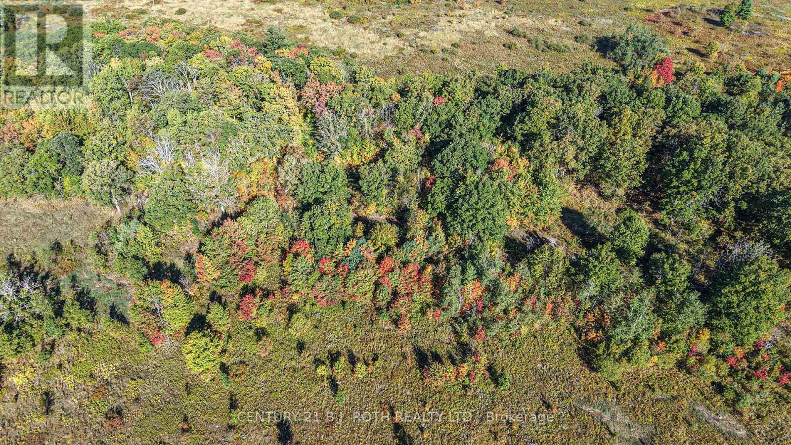 1969 Telford Line, Severn, ON