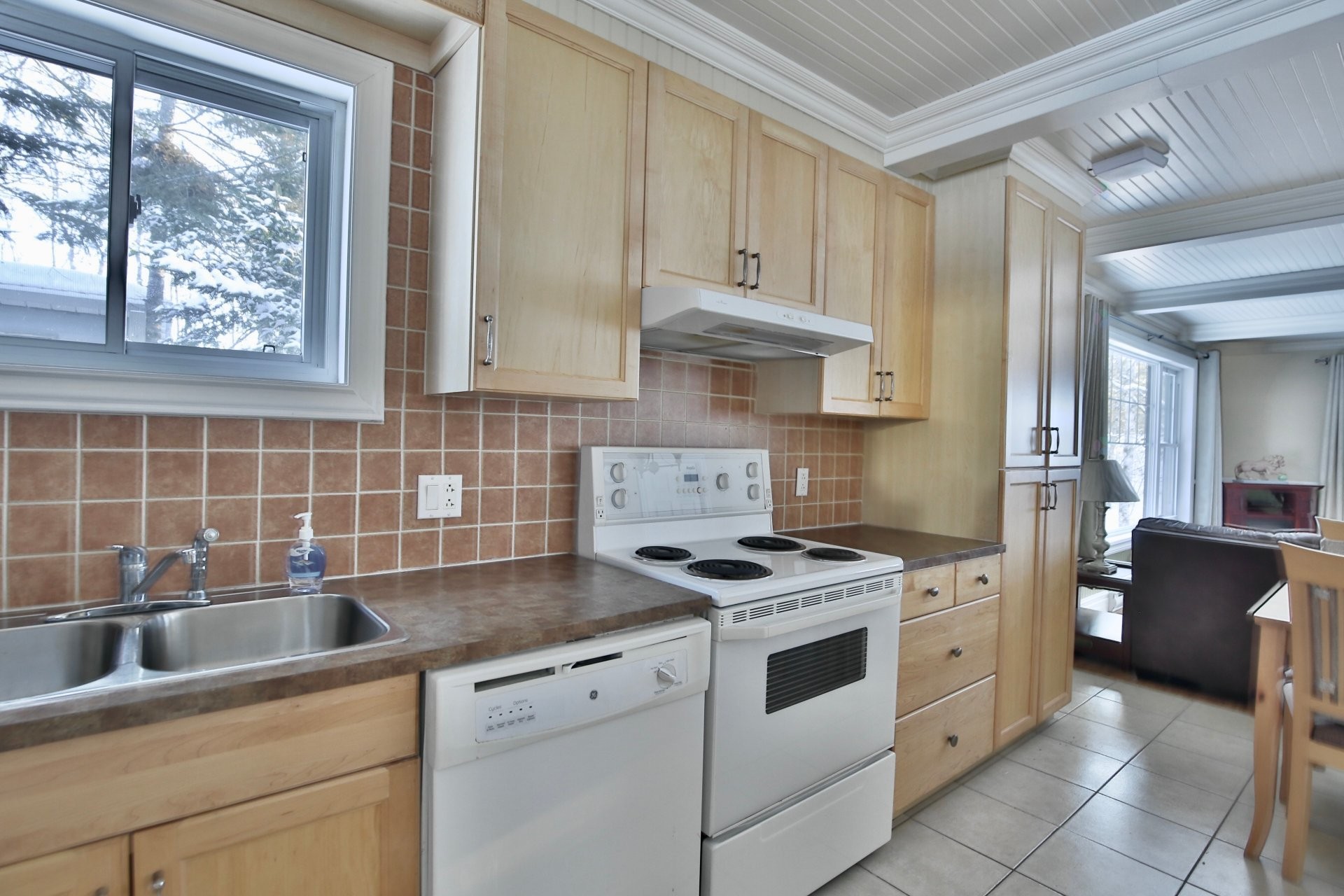 Kitchen - 193 Ch. Tawachiche E., Lac-Aux-Sables, QC - Indoor Photo Showing Kitchen With Double Sink