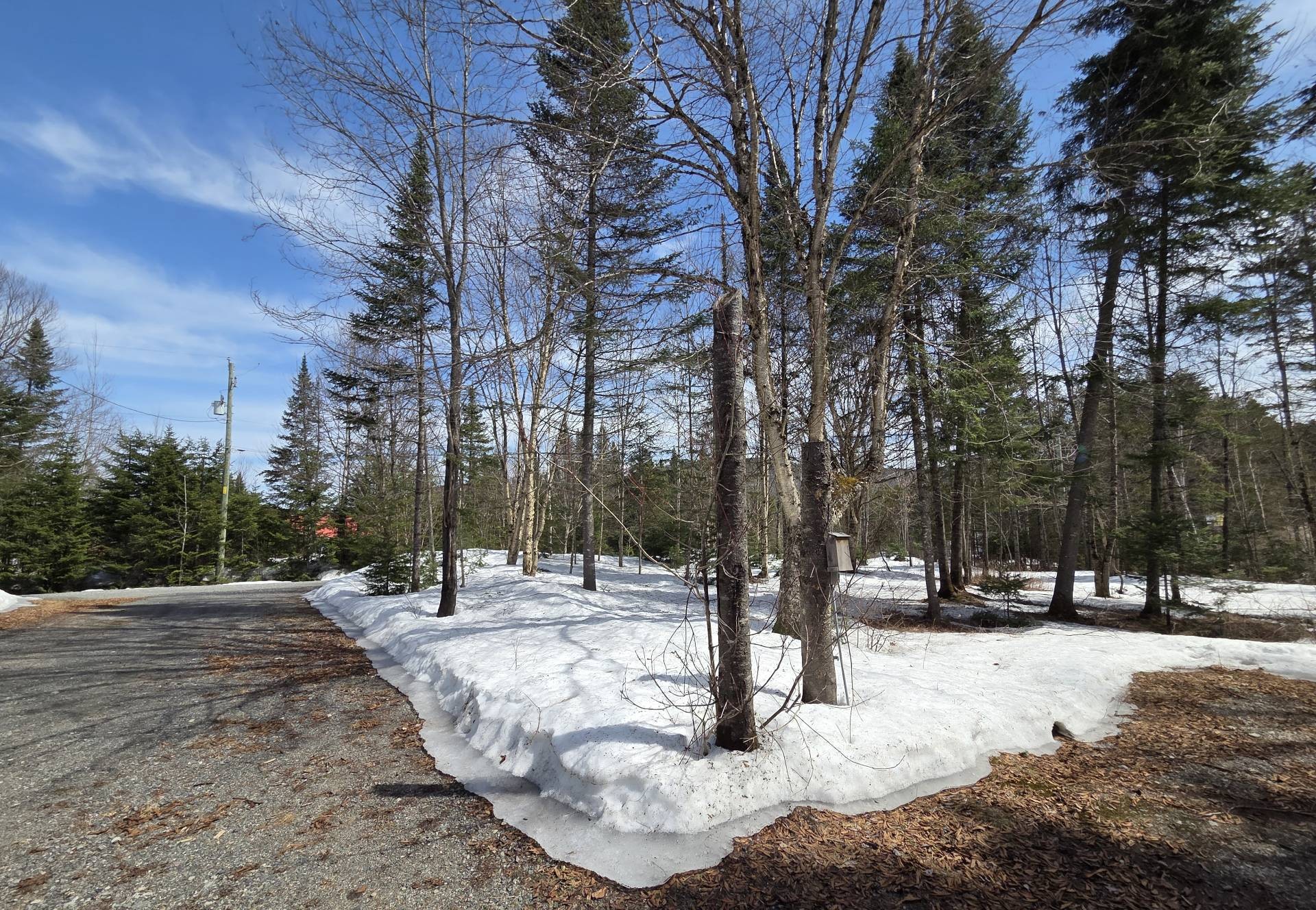 Wooded area - 193 Ch. Tawachiche E., Lac-Aux-Sables, QC - Outdoor With View