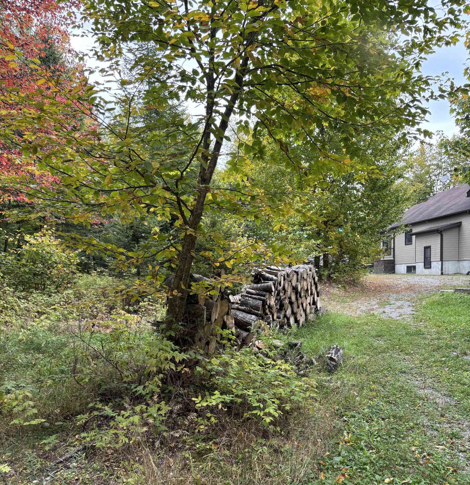 Wooded area - 193 Ch. Tawachiche E., Lac-Aux-Sables, QC - Outdoor
