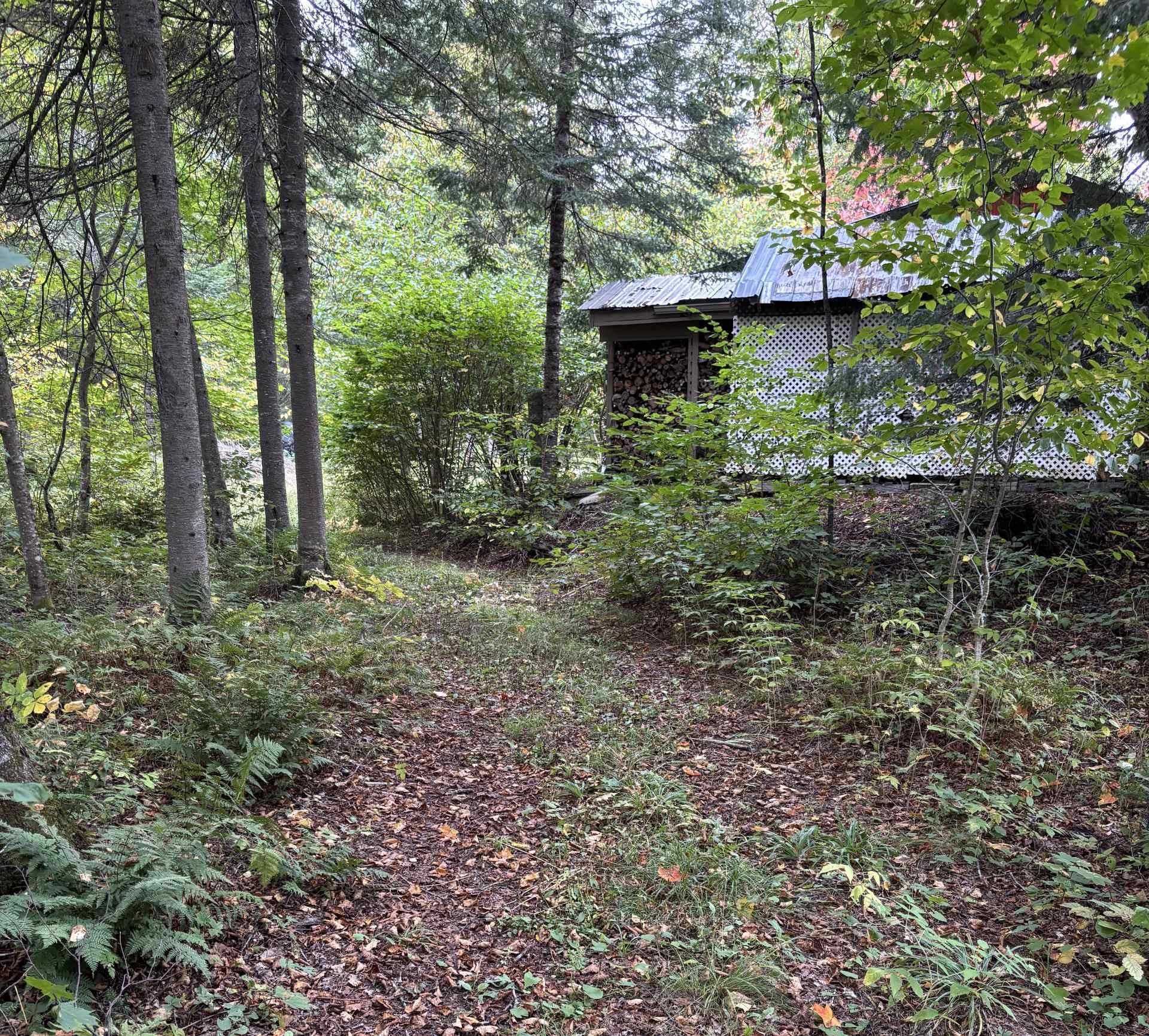 Wooded area - 193 Ch. Tawachiche E., Lac-Aux-Sables, QC - Outdoor