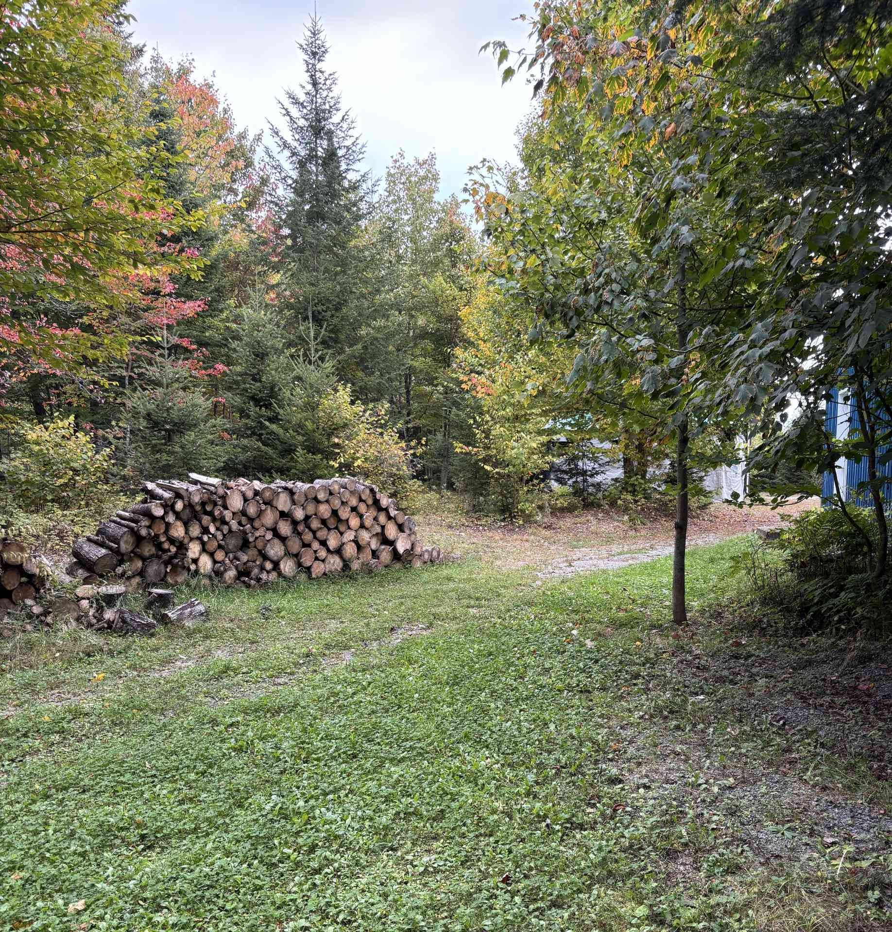 Wooded area - 193 Ch. Tawachiche E., Lac-Aux-Sables, QC - Outdoor
