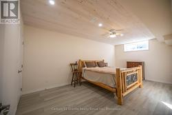 Lower level bedroom -