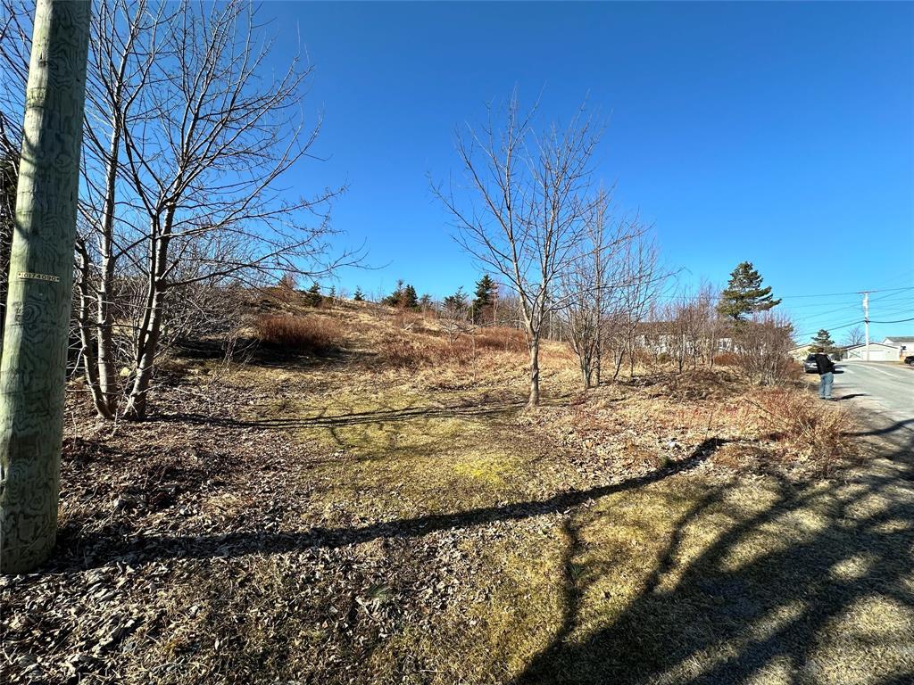 44-48 Back Road, Upper Island Cove, NL