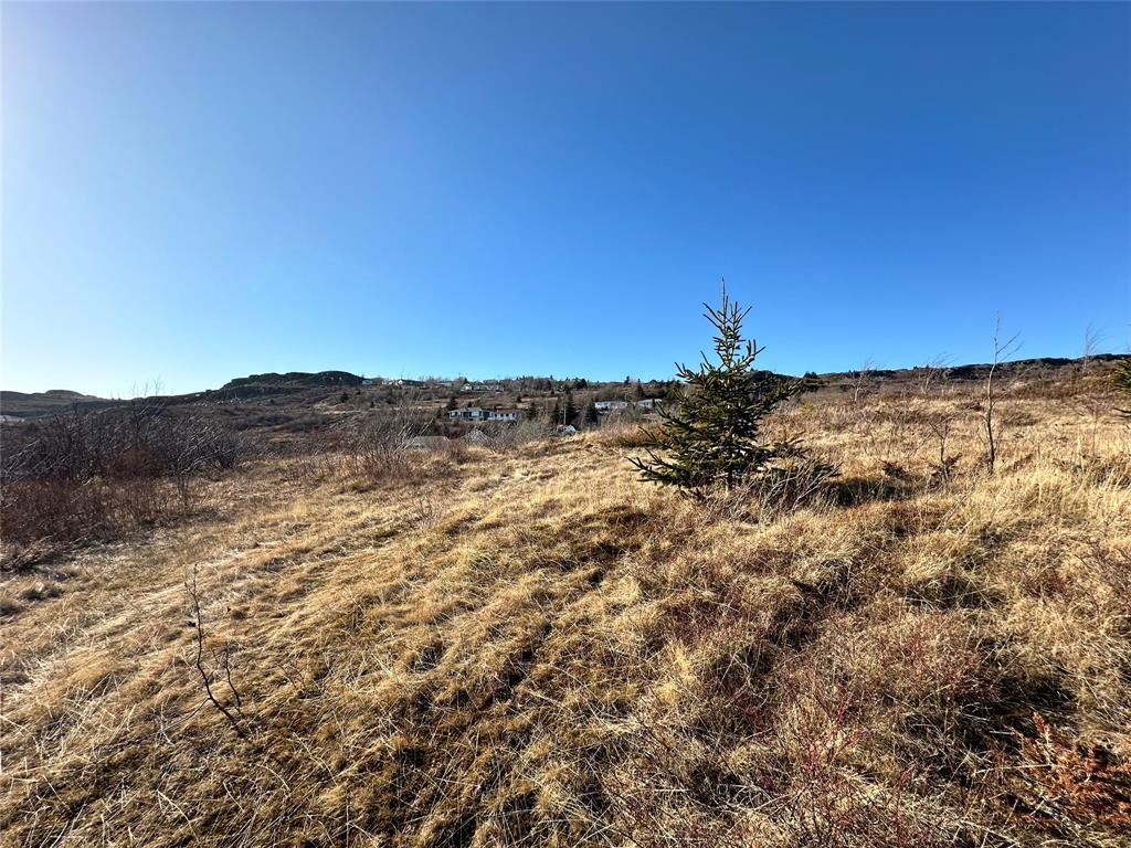 44-48 Back Road, Upper Island Cove, NL