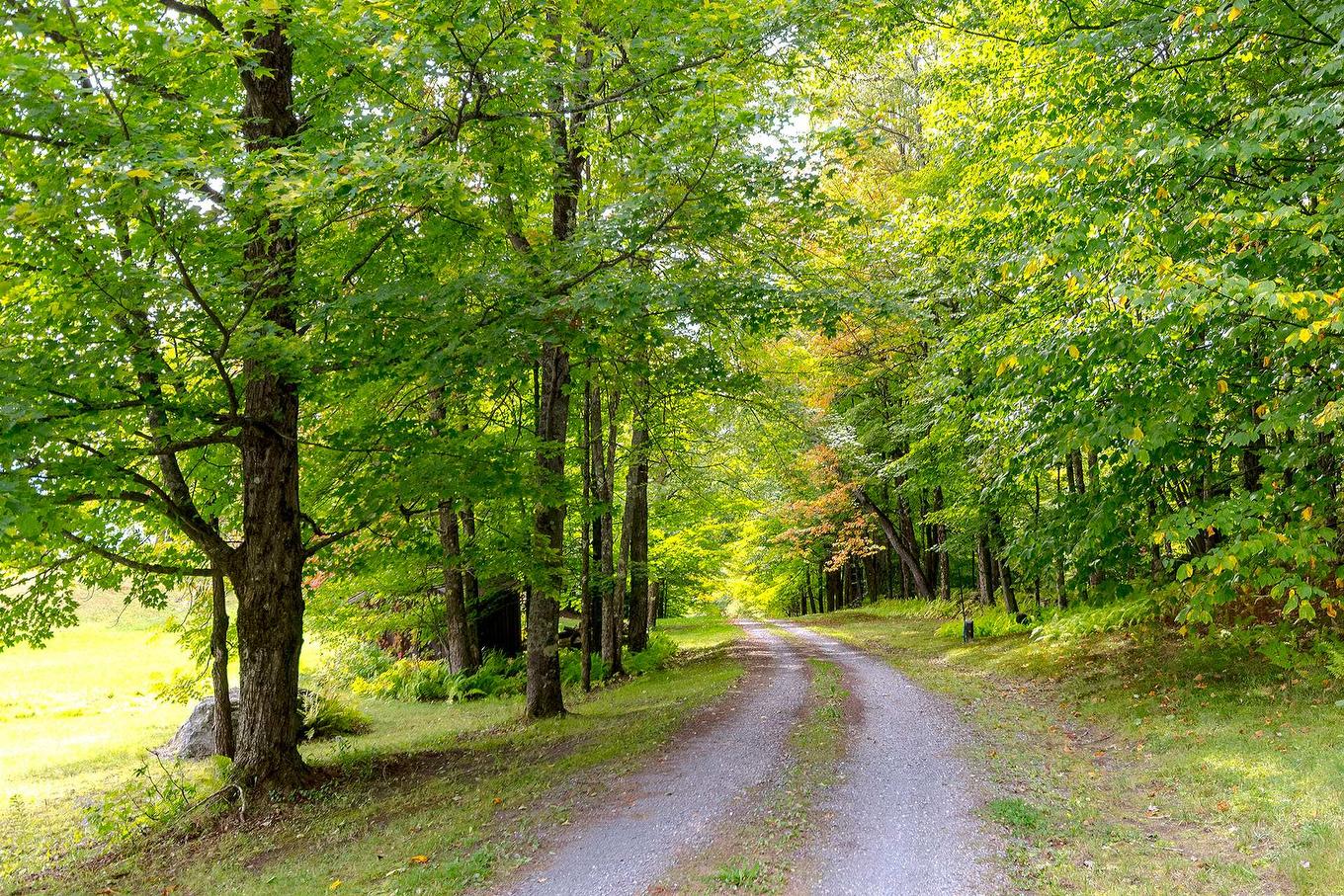 Other - 2256 Ch. Scenic, Sutton, QC - Outdoor