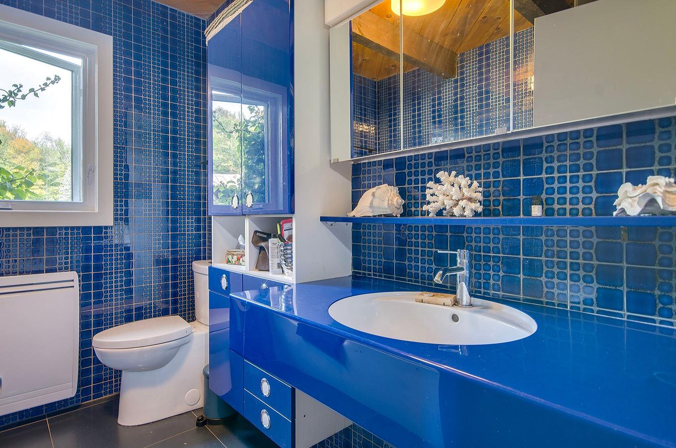 Bathroom - 2256 Ch. Scenic, Sutton, QC - Indoor Photo Showing Bathroom