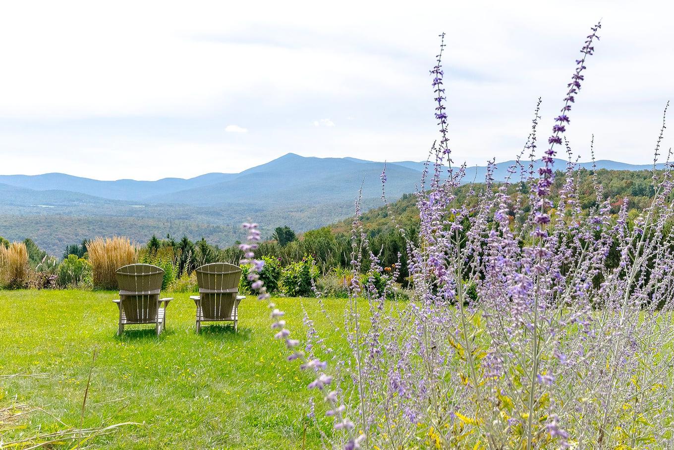 View - 2256 Ch. Scenic, Sutton, QC - Outdoor With View