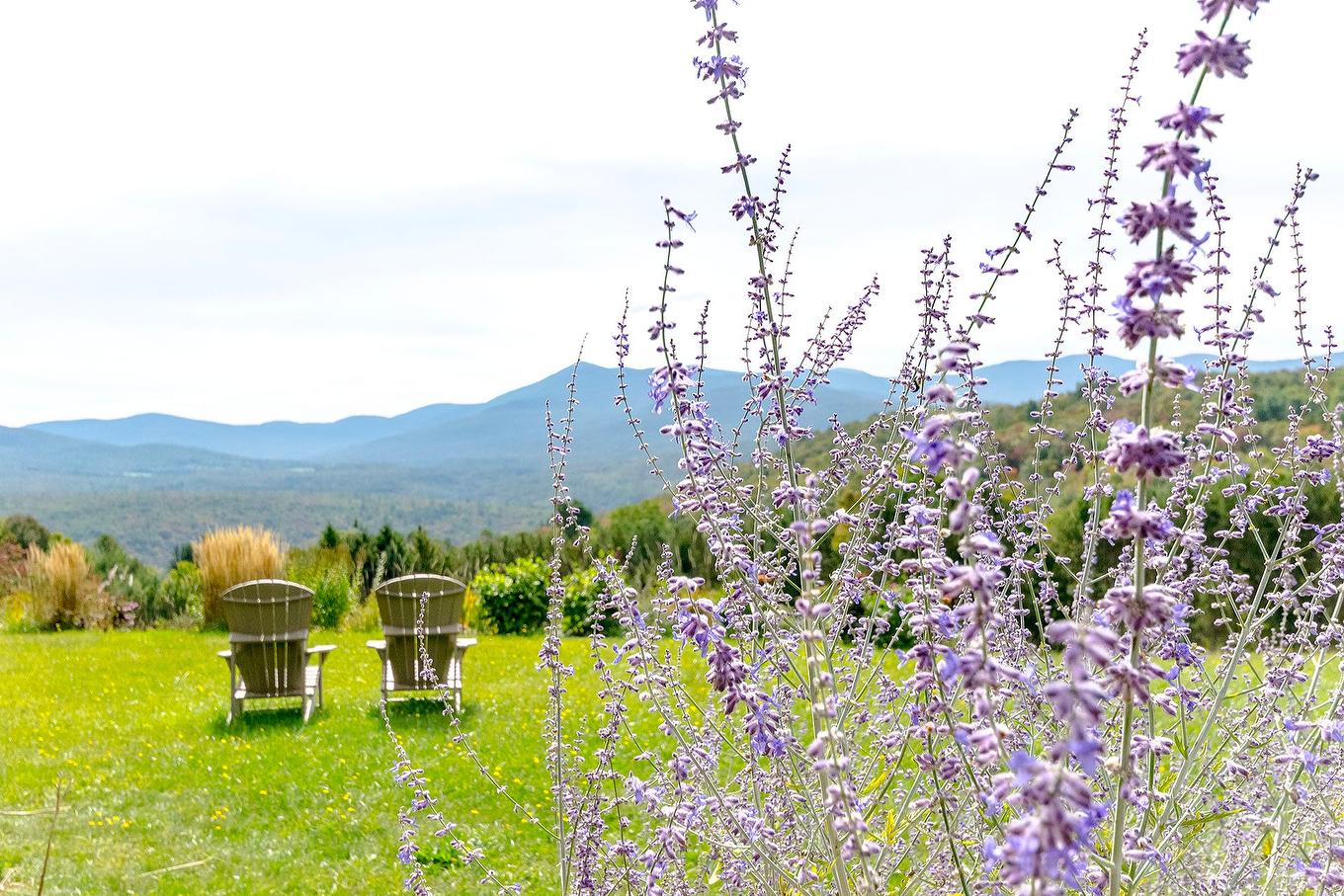 View - 2256 Ch. Scenic, Sutton, QC - Outdoor With View