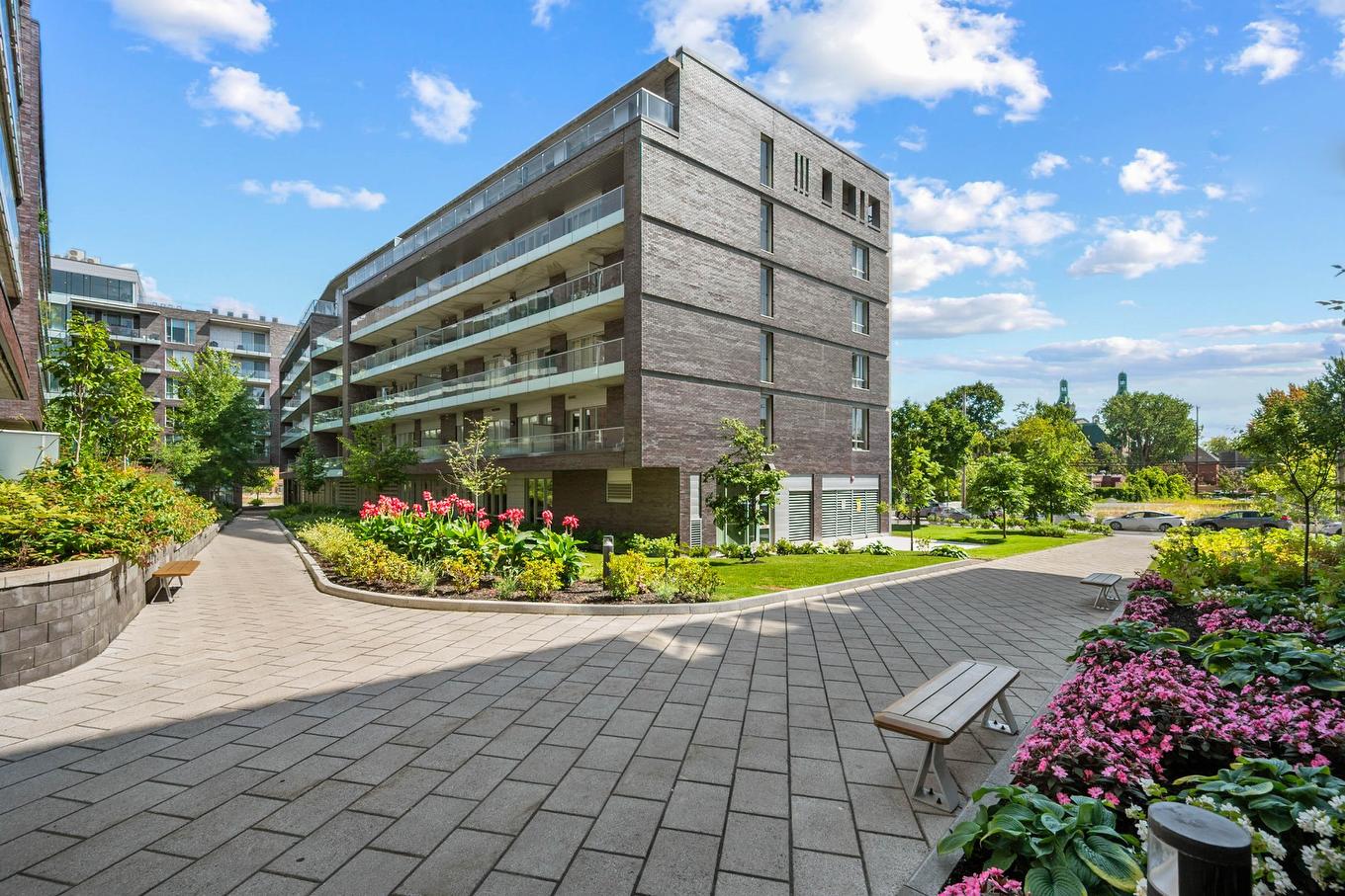 Back facade - 515-1450 Rue Island, Montréal (Le Sud-Ouest), QC - Outdoor