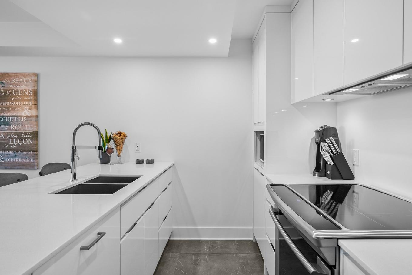 Kitchen - 515-1450 Rue Island, Montréal (Le Sud-Ouest), QC - Indoor Photo Showing Kitchen With Double Sink