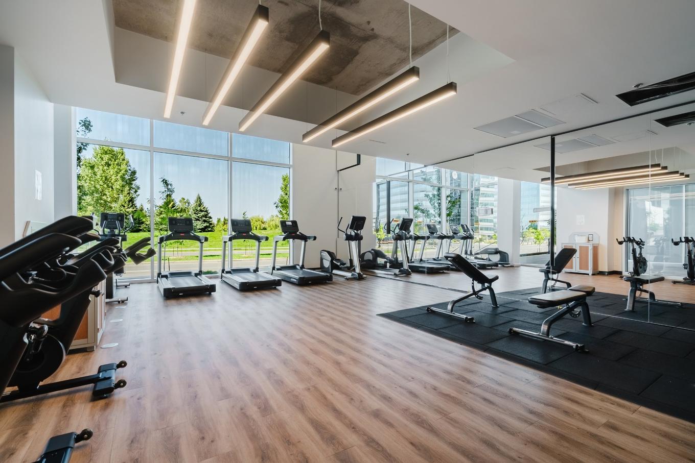 Exercise room - 1602-5505 Boul. Du Quartier, Brossard, QC - Indoor Photo Showing Gym Room