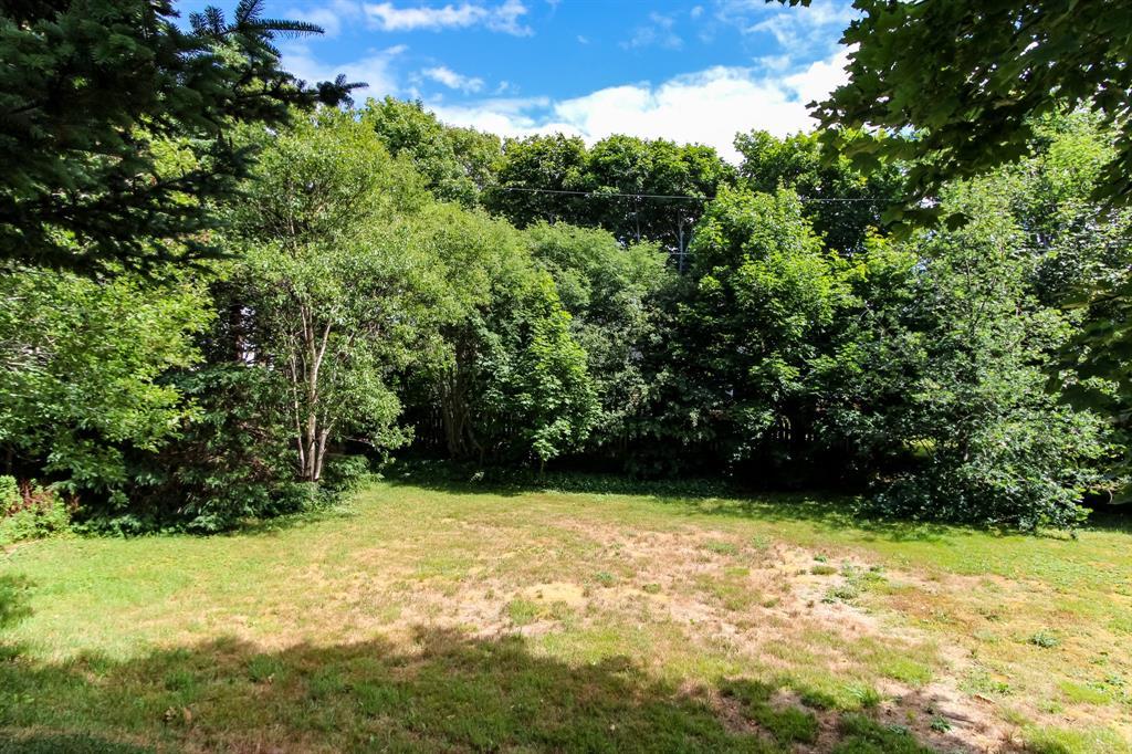 13 Calgary Street, St. John'S, NL