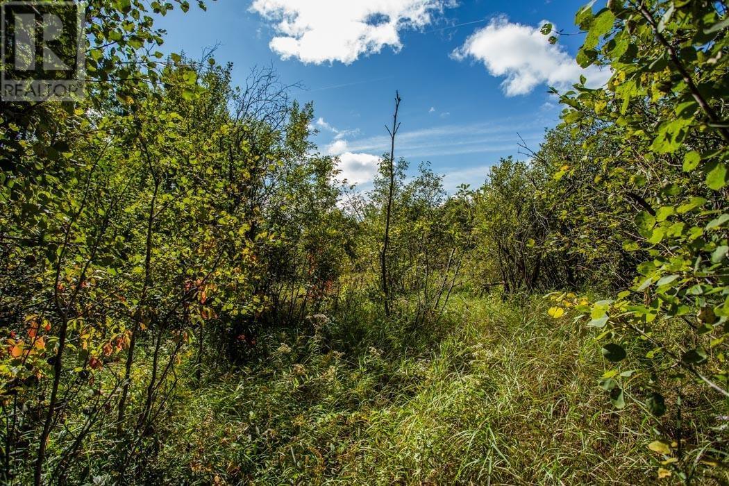 5Th Concession Rd, Bruce Mines, Township Of Plummer Additional, ON