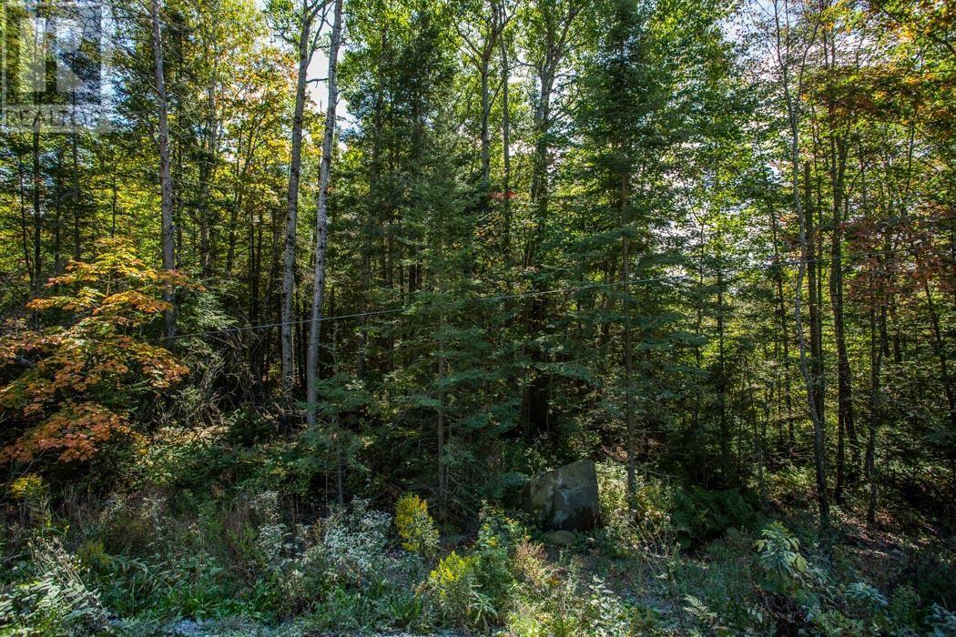 5Th Concession Rd, Bruce Mines, Township Of Plummer Additional, ON