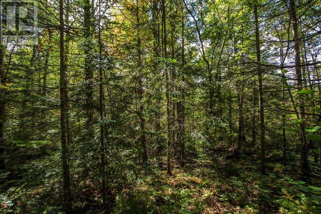 5Th Concession Rd, Bruce Mines, Township Of Plummer Additional, ON