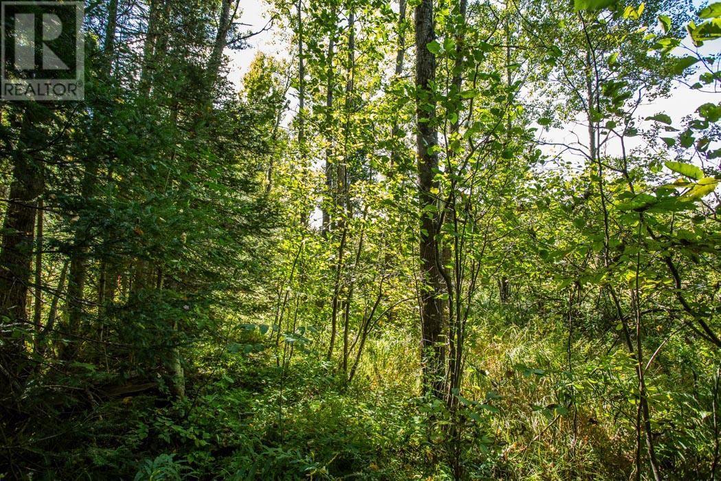 5Th Concession Rd, Bruce Mines, Township Of Plummer Additional, ON