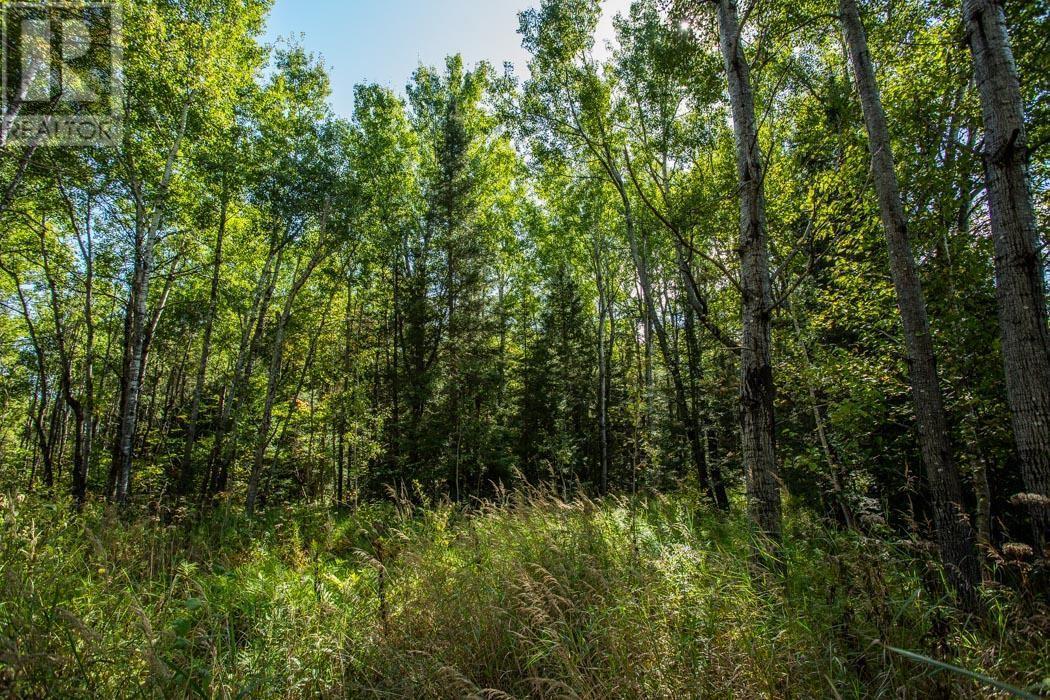 5Th Concession Rd, Bruce Mines, Township Of Plummer Additional, ON