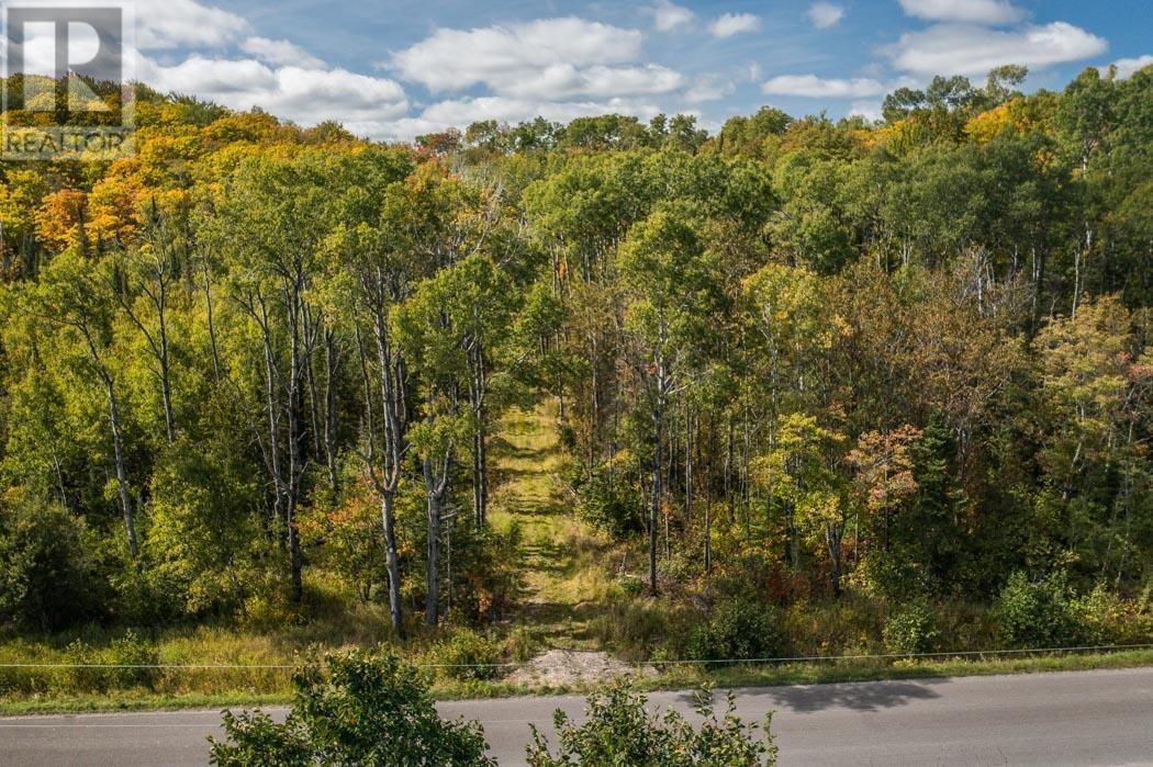 Gordon Lake Road And Carter Side Road Part 1, Johnson, ON