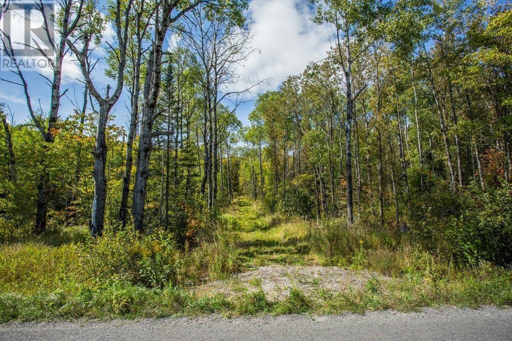 Gordon Lake Road And Carter Side Road Part 1, Johnson, ON