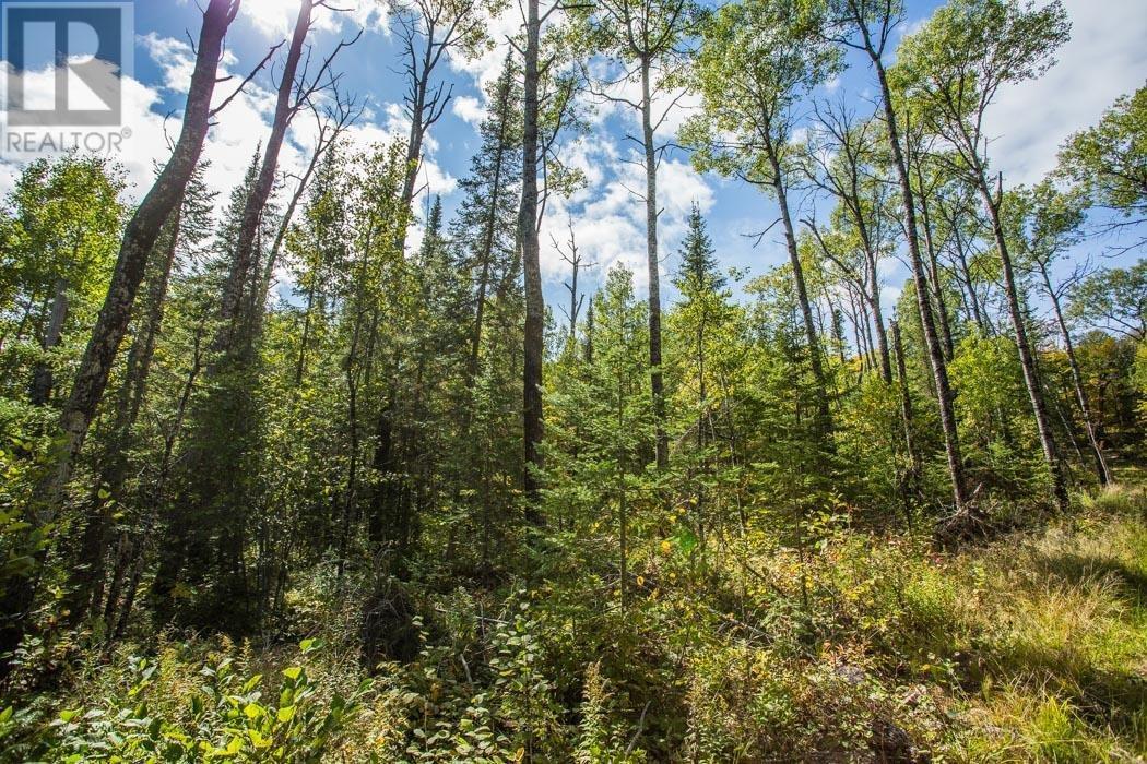 Gordon Lake Road And Carter Side Road Part 1, Johnson, ON