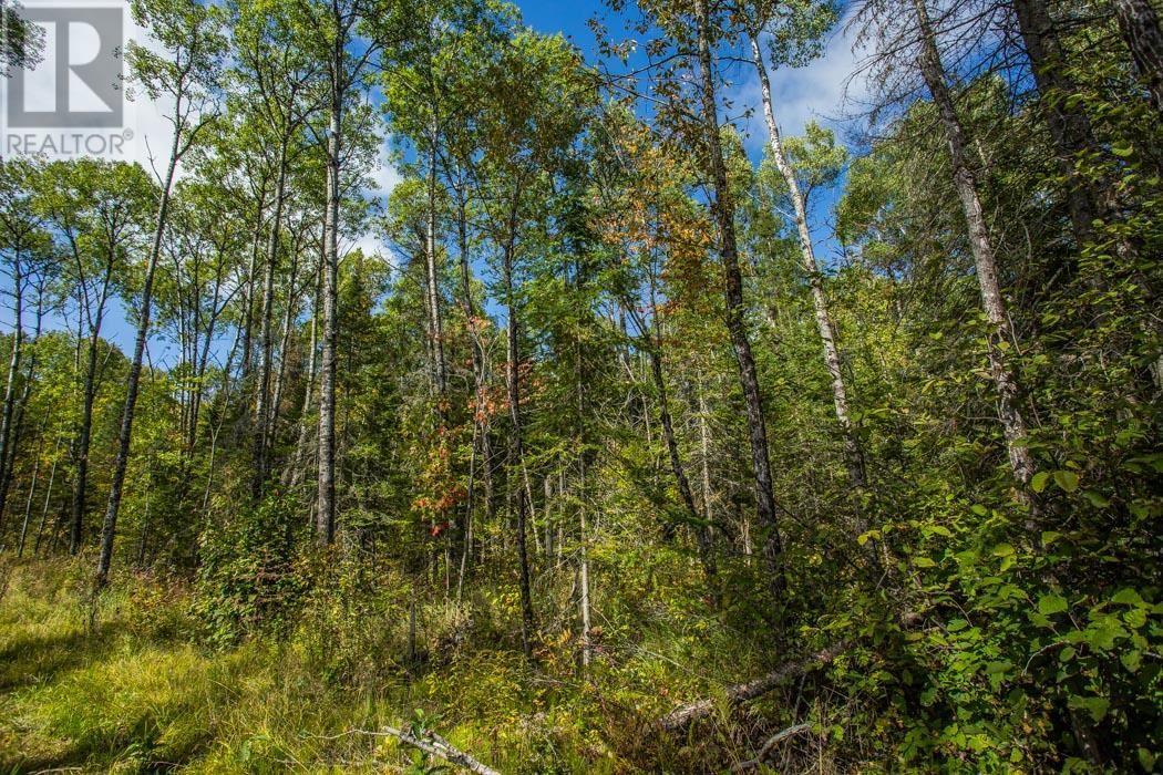 Gordon Lake Road And Carter Side Road Part 1, Johnson, ON