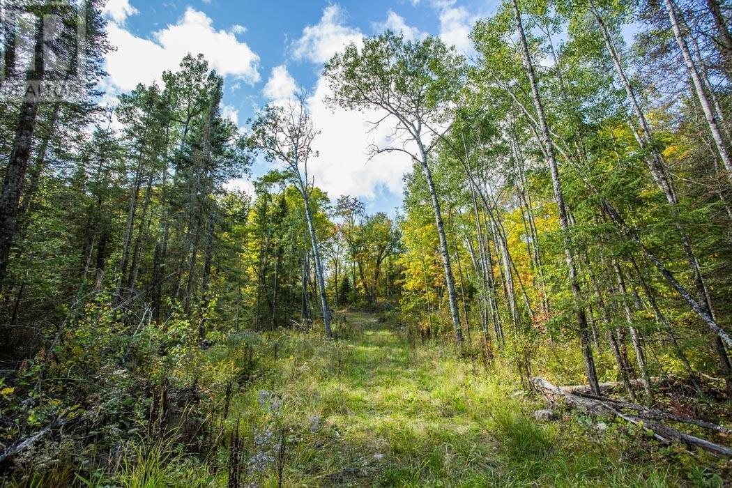 Gordon Lake Road And Carter Side Road Part 1, Johnson, ON