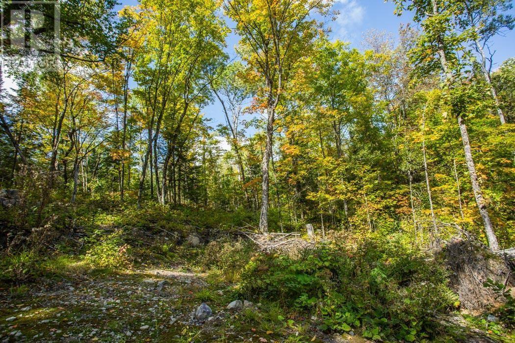 Gordon Lake Road And Carter Side Road Part 1, Johnson, ON