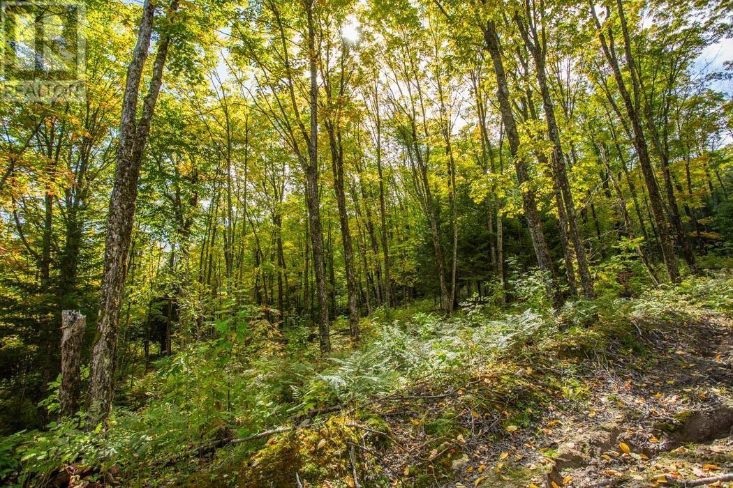 Gordon Lake Road And Carter Side Road Part 1, Johnson, ON