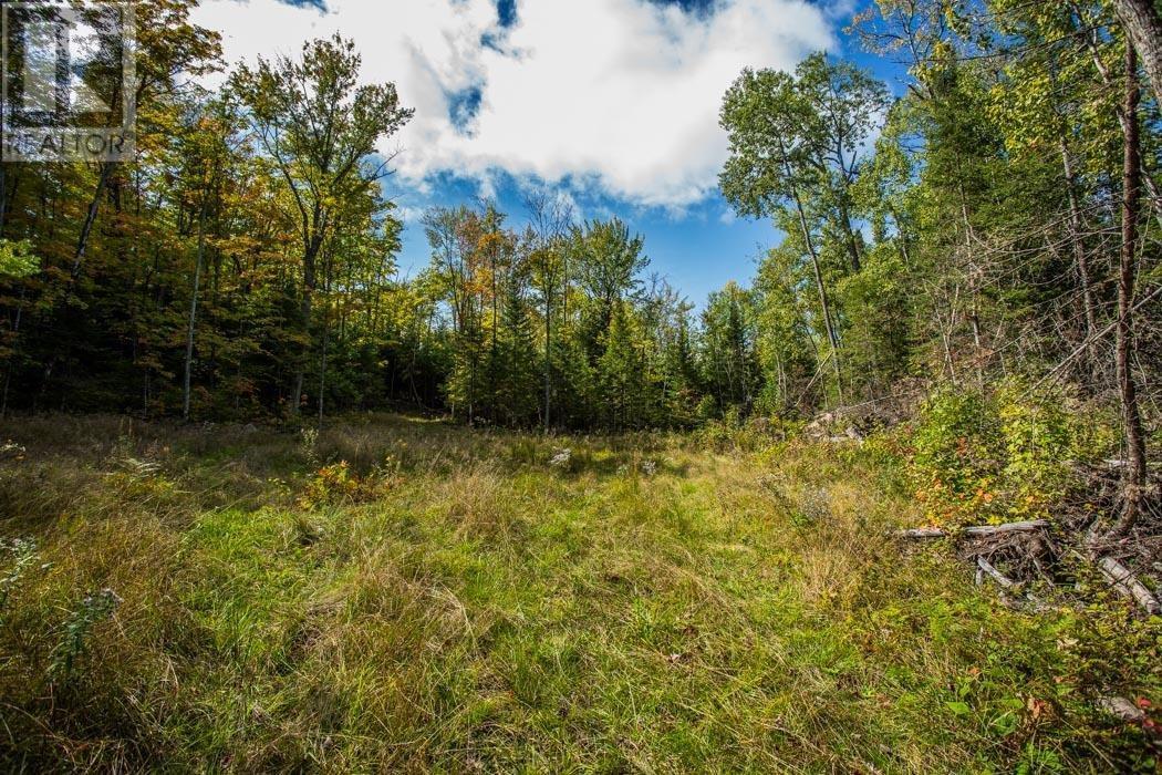 Gordon Lake Road And Carter Side Road Part 1, Johnson, ON