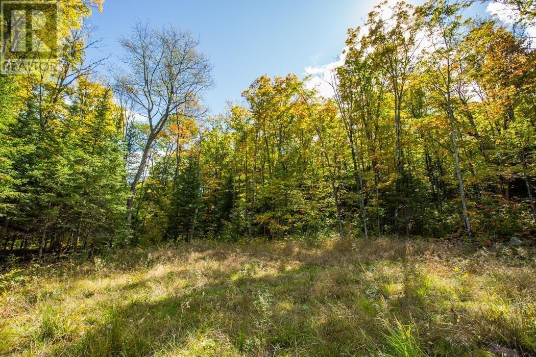 Gordon Lake Road And Carter Side Road Part 1, Johnson, ON