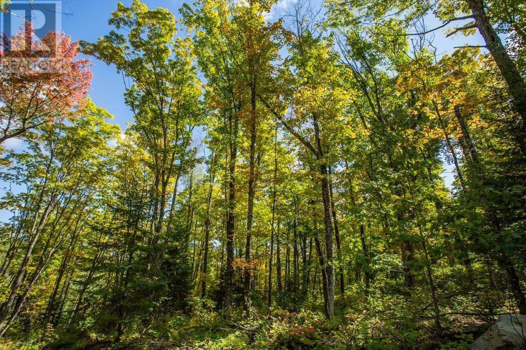 Gordon Lake Road And Carter Side Road Part 1, Johnson, ON