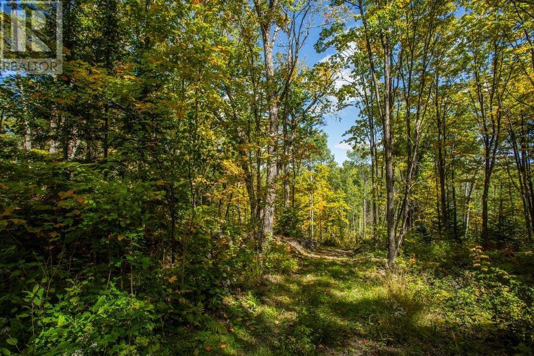 Gordon Lake Road And Carter Side Road Part 1, Johnson, ON