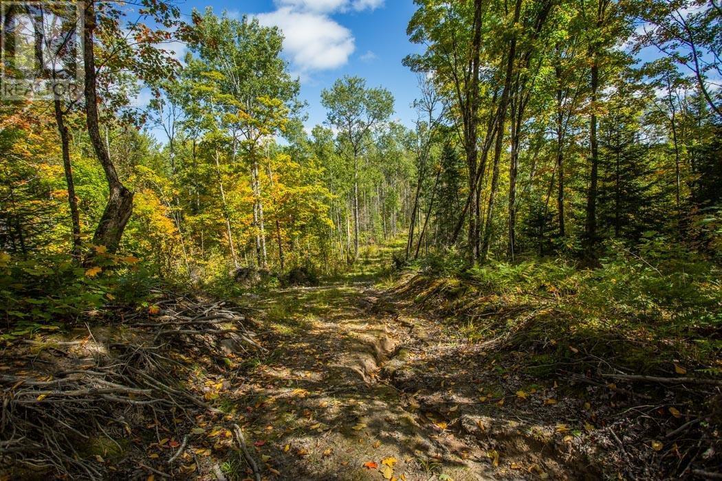 Gordon Lake Road And Carter Side Road Part 1, Johnson, ON