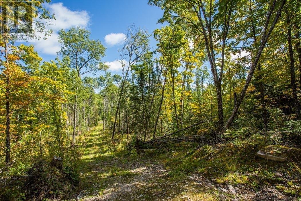 Gordon Lake Road And Carter Side Road Part 1, Johnson, ON